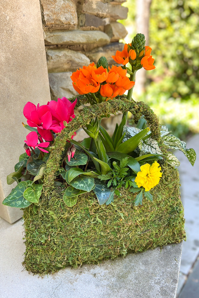 Chalet Signature Mossy Large Purse 8"