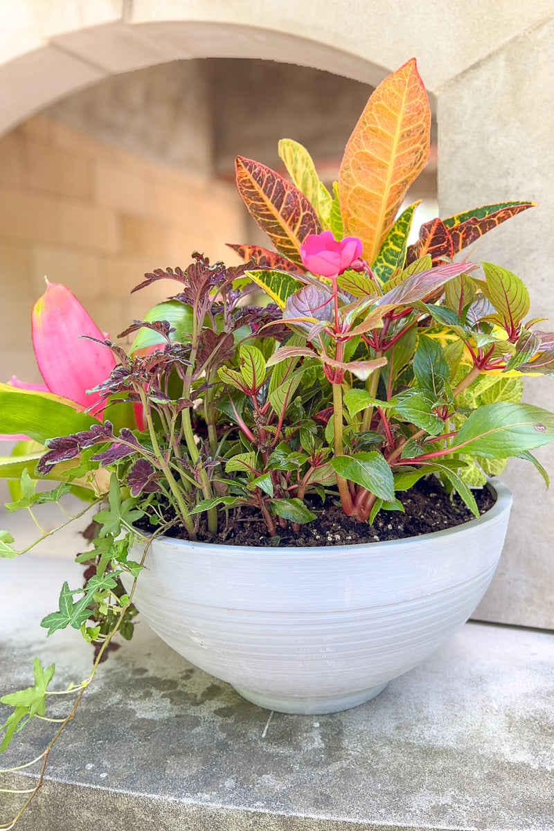 Chalet Signature Summer Shade Paige's Bowl 16"