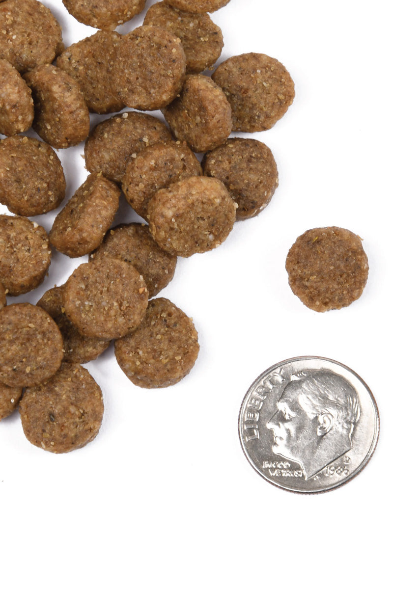 Fromm Classic Adult 15 lb