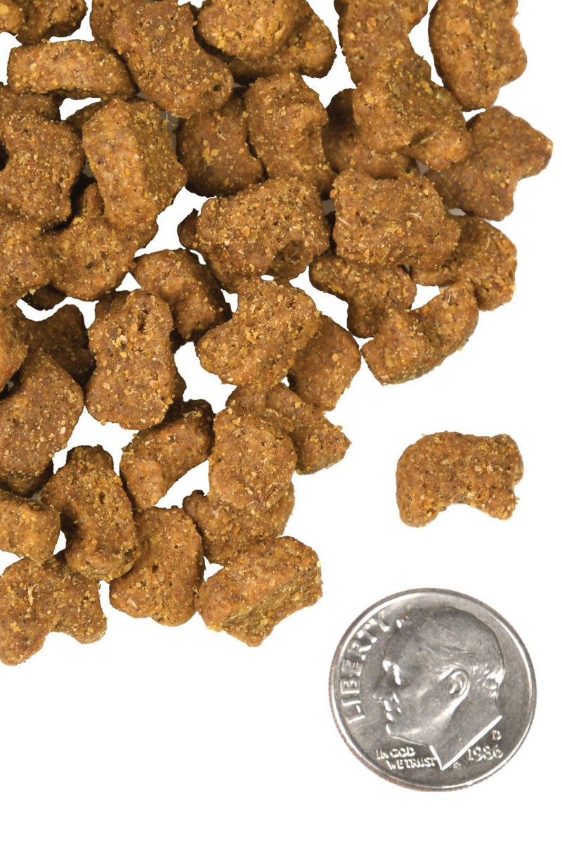 Fromm Lamb & Lentil 26 lb