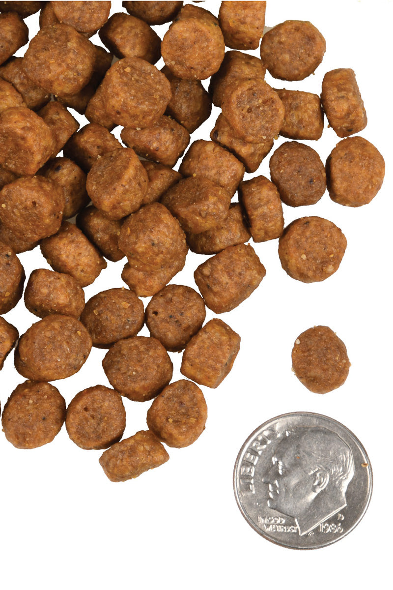 Fromm Heartland Gold Puppy 4 lb