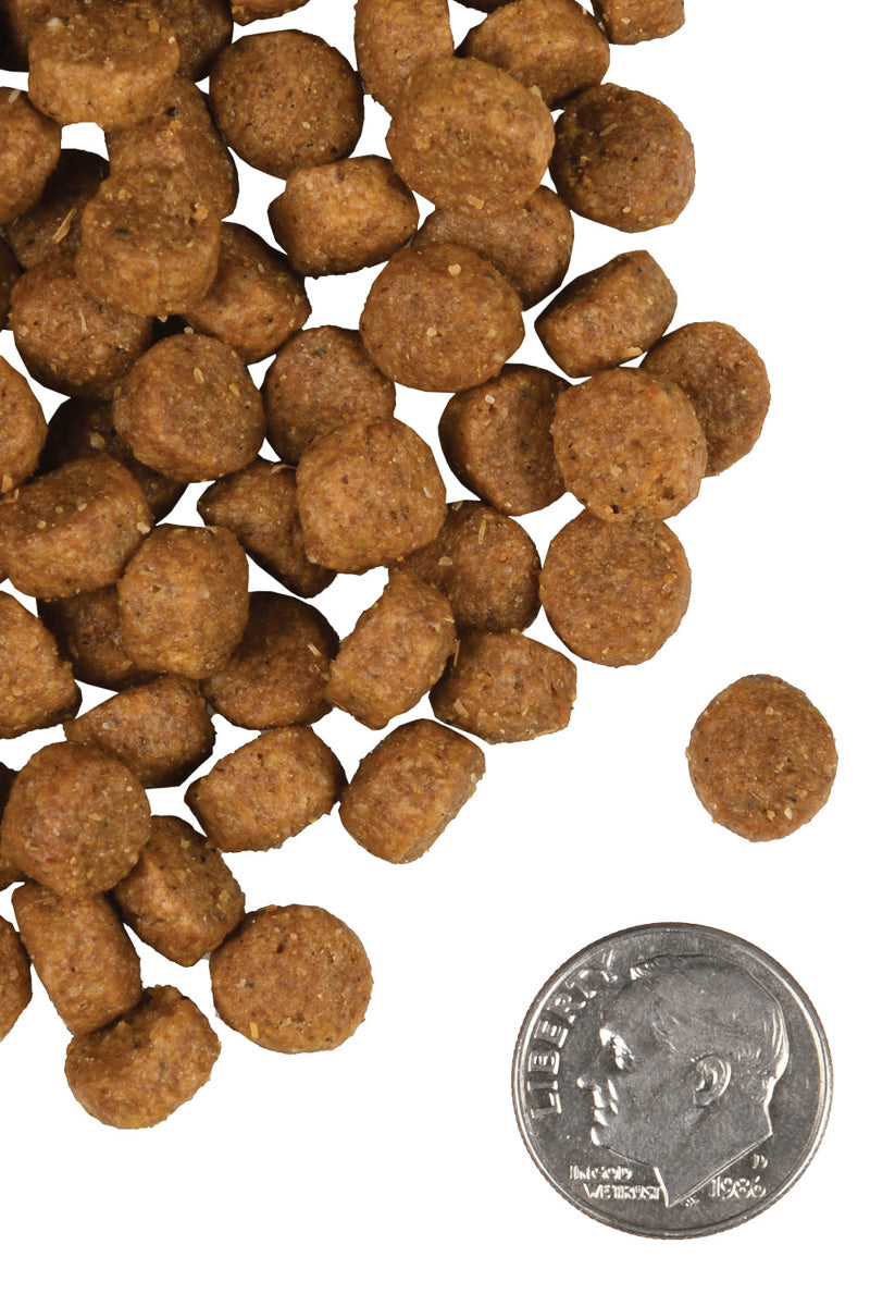 Fromm Small Breed Adult Gold 5 lb