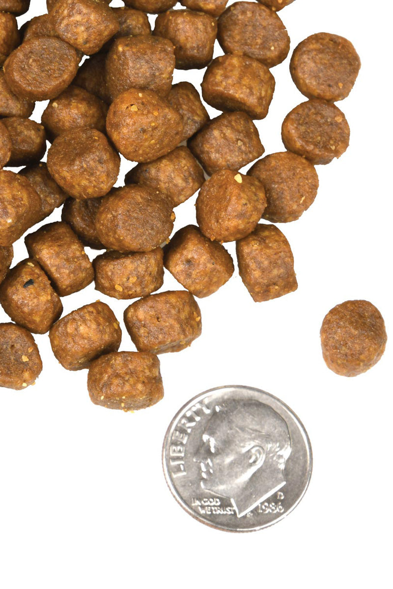 Fromm Surf & Turf 12 lb