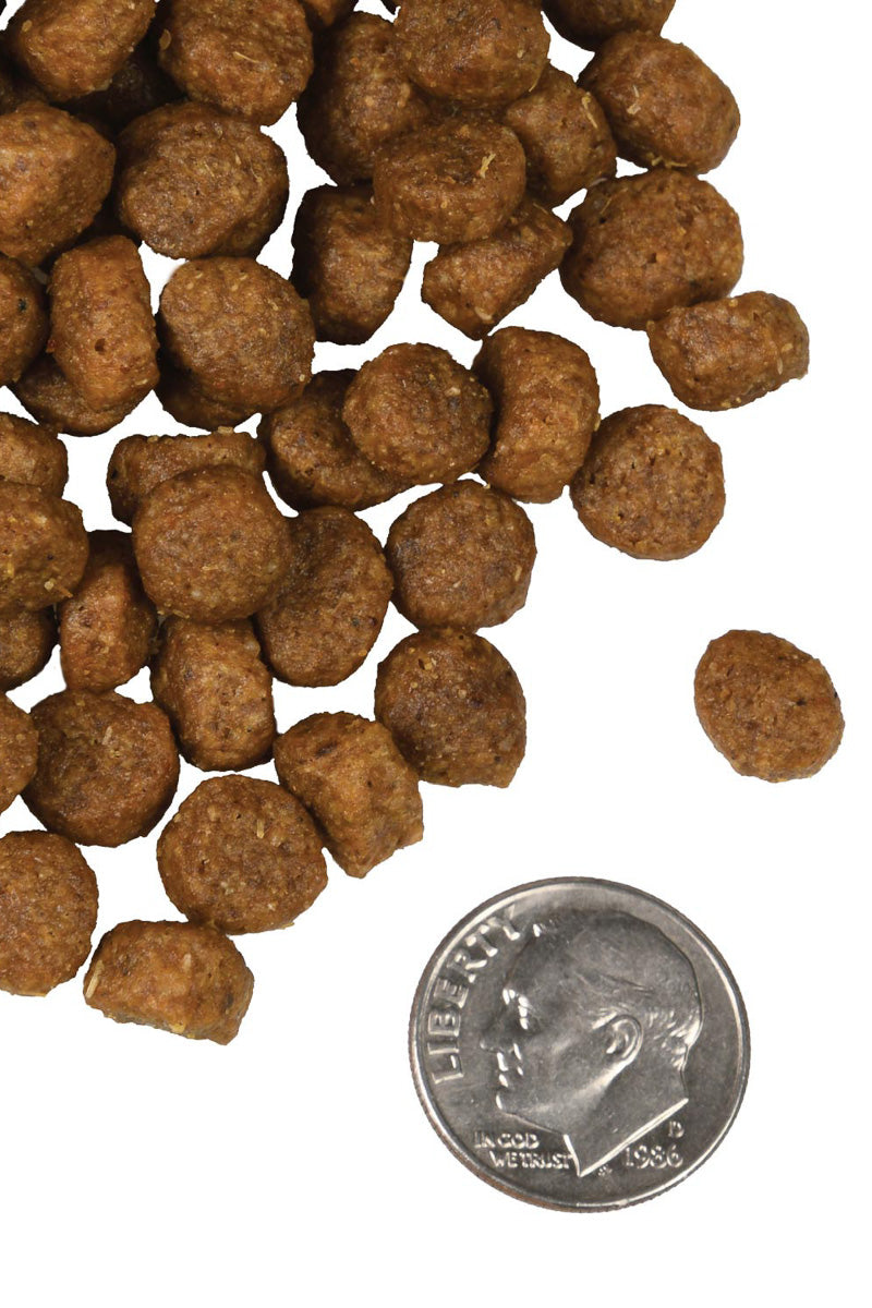 Fromm Salmon A La Veg 12 lb