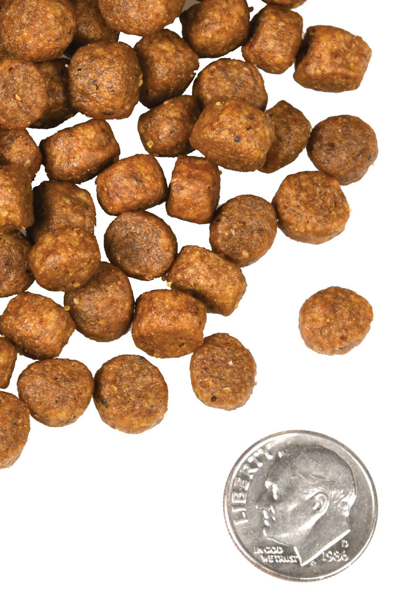 Fromm Beef Frittata Veg 26 lb