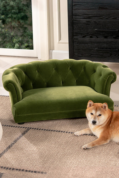 Kiki Chesterfield Dog Sofa Bed 36.5" Olive Green