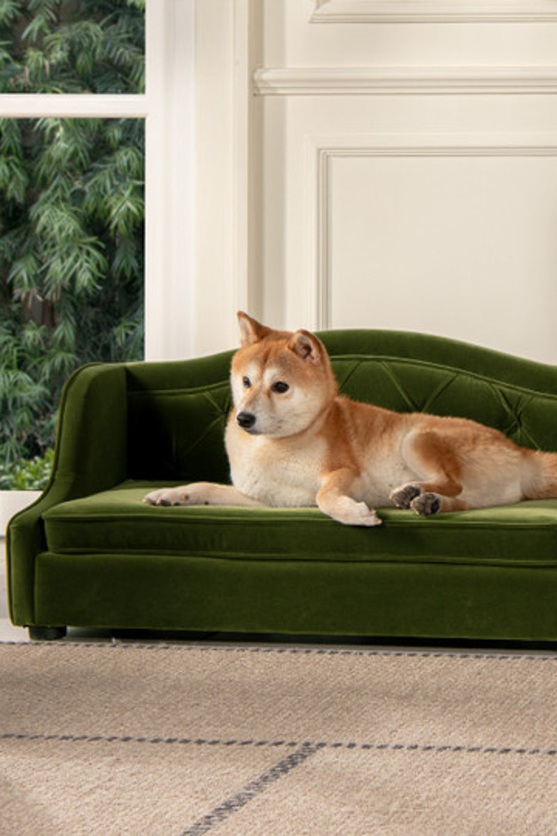 Robin Tufted Wingback Dog Sofa Bed 35" Olive Green