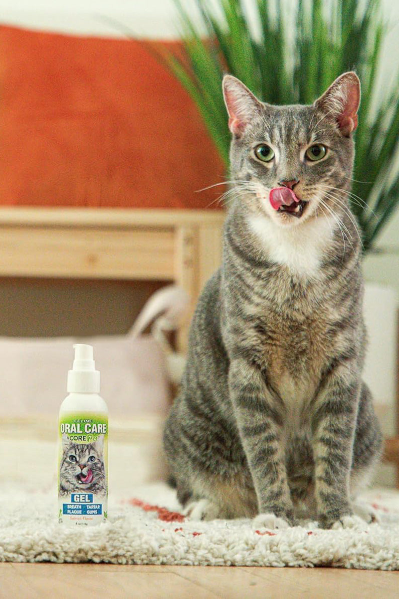 Petzlife Oral Care Gel Salmon For Cats 4 oz