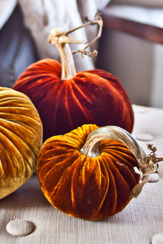 Small Velvet Pumpkins Set of 4, cozy outlet decor