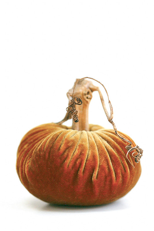 Plush Pumpkin Velvet Pumpkin 6" Curry