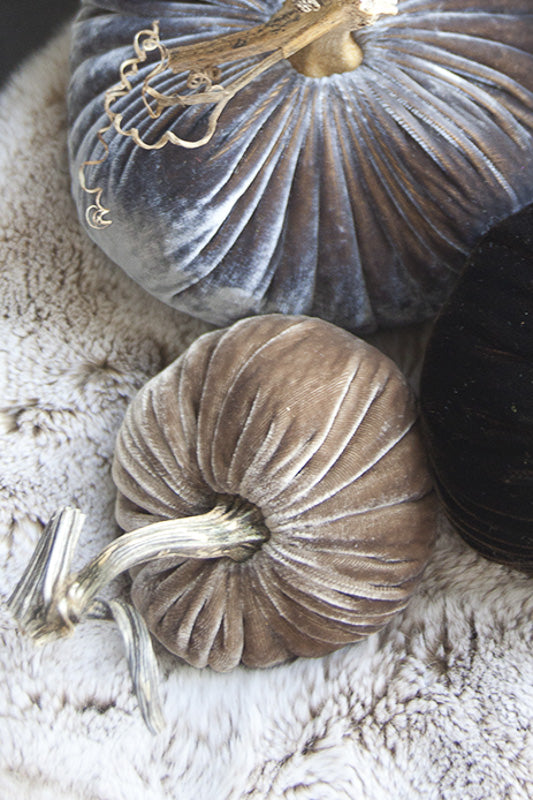 Plush Pumpkin Velvet Pumpkin 5" Stone