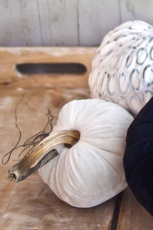 Plush Pumpkin Velvet Pumpkin 6" Snow