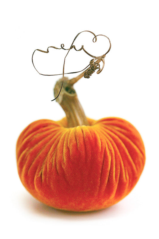 Plush Pumpkin Velvet Pumpkin 4" Carrot