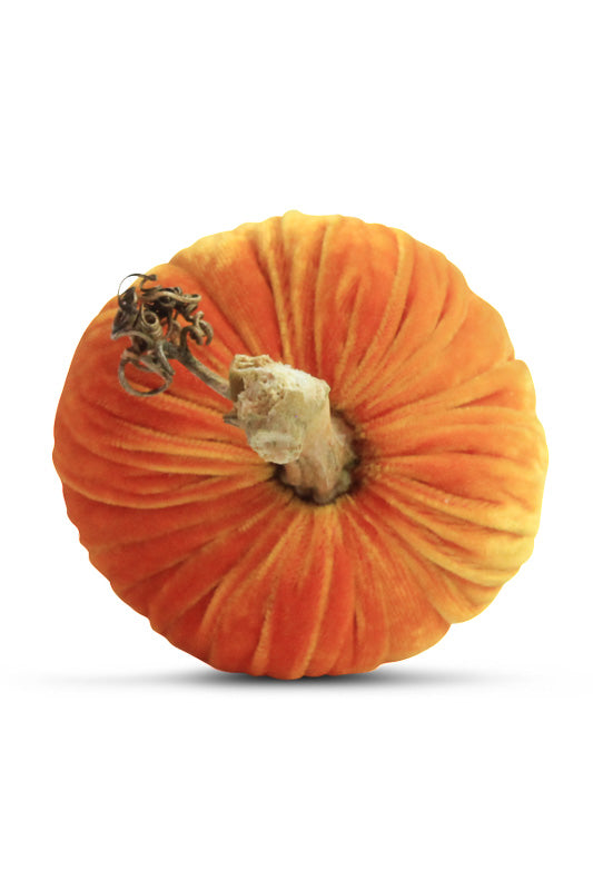 Plush Pumpkin Velvet Pumpkin 4" Carrot