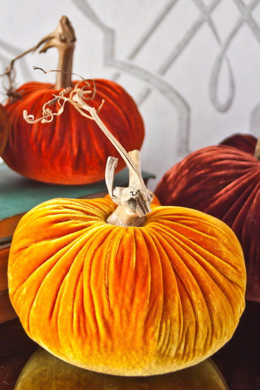 Plush Pumpkin Velvet Pumpkin 8" Carrot