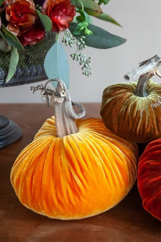 Plush Pumpkin Velvet Pumpkin 4" Carrot