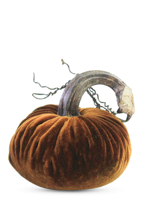 Plush Pumpkin | Harvest