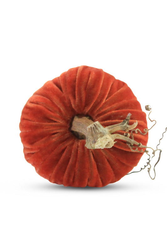 Plush Pumpkin Velvet Pumpkin 6" Apricot