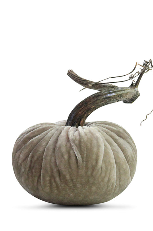 Plush Pumpkin Velvet Pumpkin 5" Putty