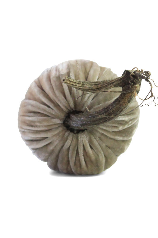 Plush Pumpkin Velvet Pumpkin 5" Putty