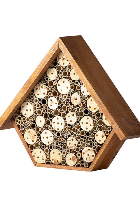 Beneficial Bug House Aster Walnut Stain