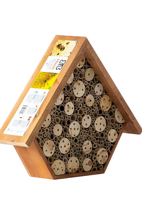 Beneficial Bug House Aster Walnut Stain