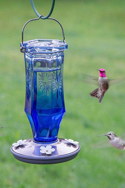 Perky-Pet Starburst Vintage Hummingbird Feeder Sapphire Blue 16 oz