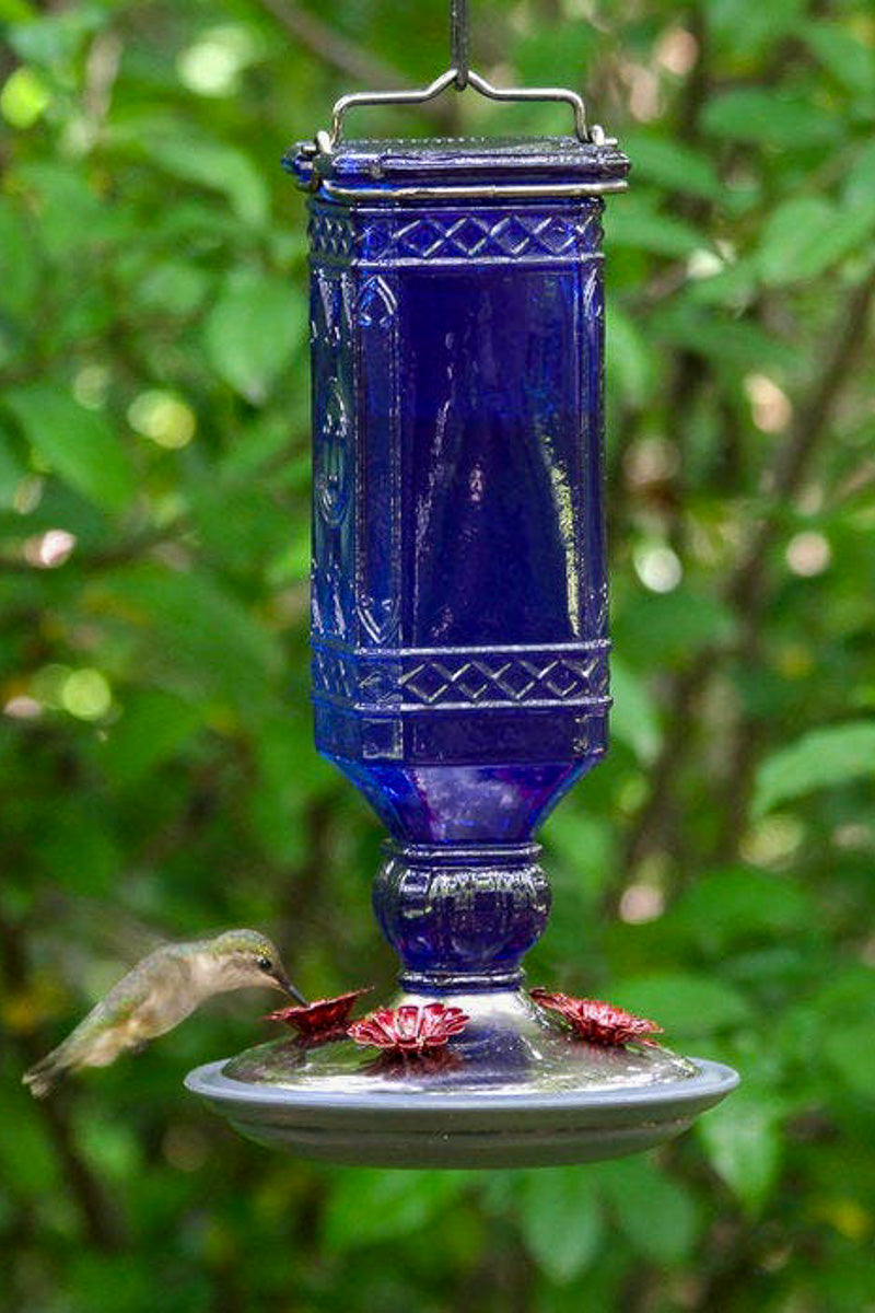 Perky-Pet Antique Bottle Hummingbird Feeder Cobalt Blue 16 oz