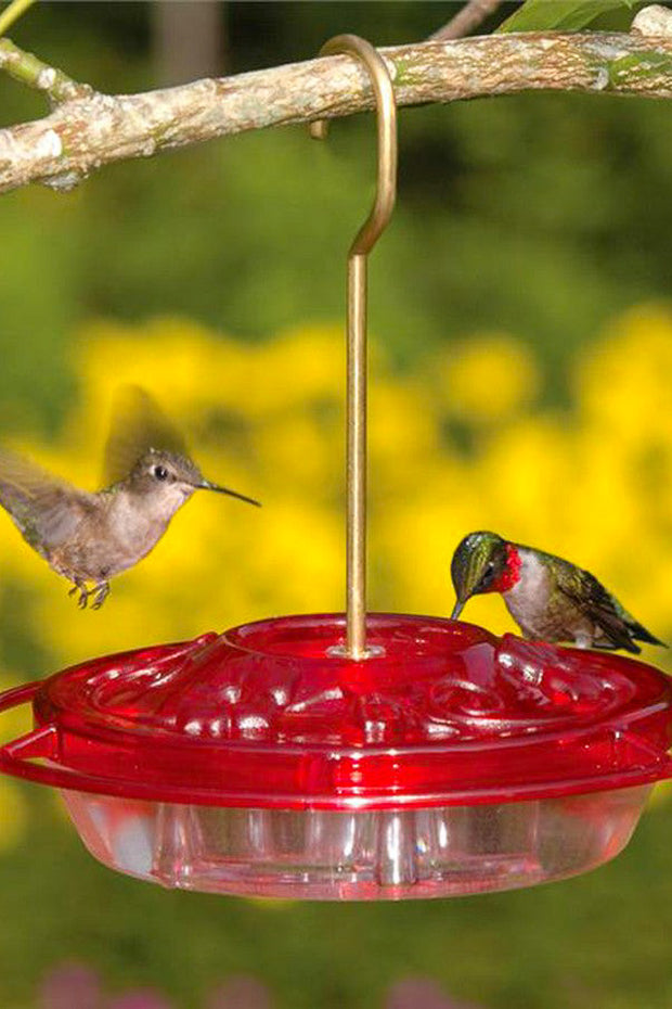 Aspects Little Fancy Hummingbird Feeder Rose 8 oz