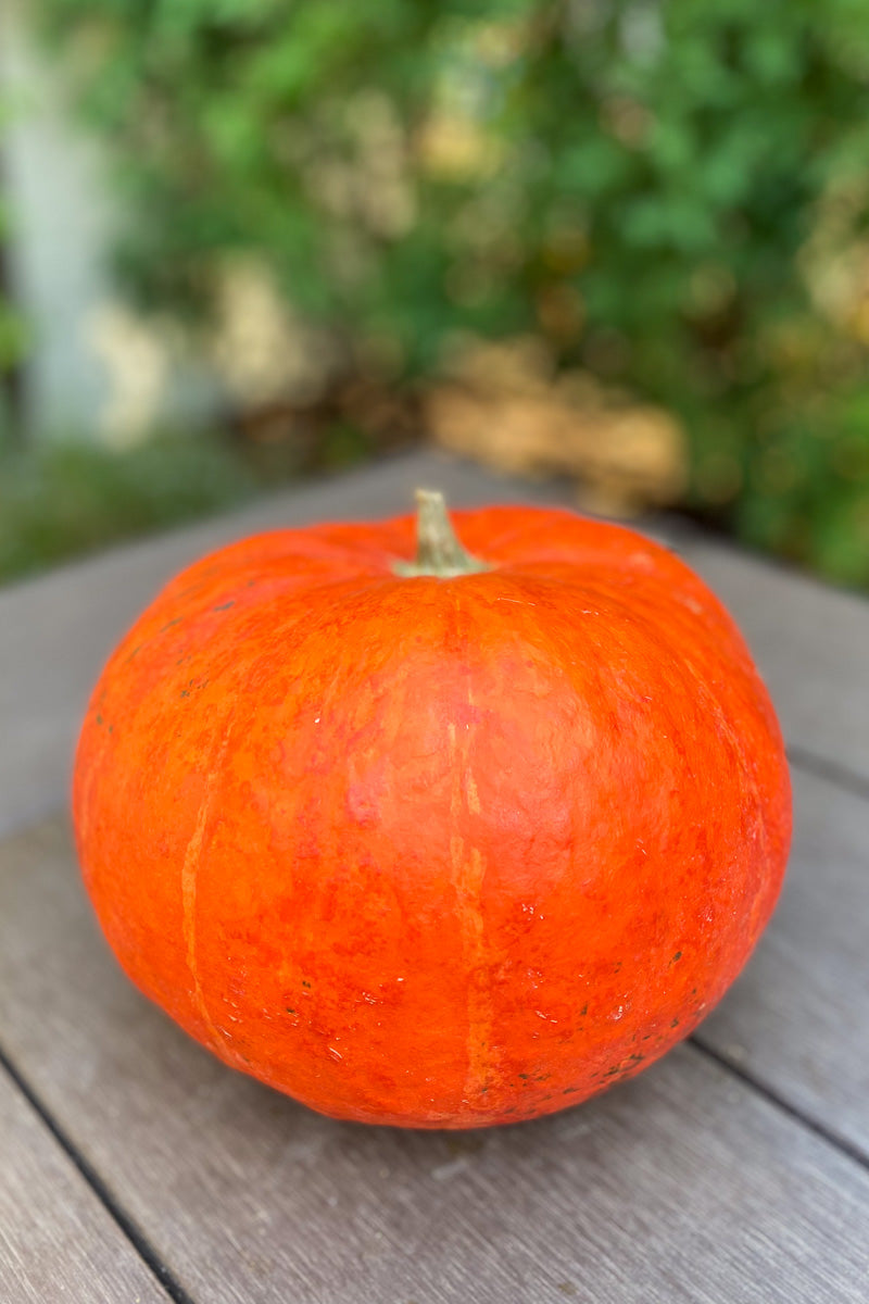 Pumpkin, Cinderella Small