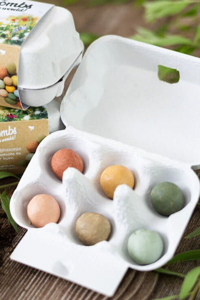 Buzzy Seeds Blossombs Egg Box - Happy Easter