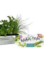 Buzzy Seeds Galvanized Windowsill - Kitchen Herb Organic Seeds
