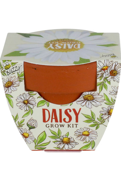 Buzzy Seeds Kids Mini Grow Pot - Daisy