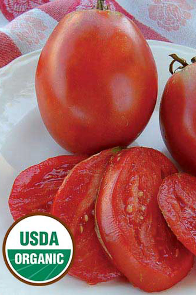 Seed Savers Amish Paste Organic Tomato