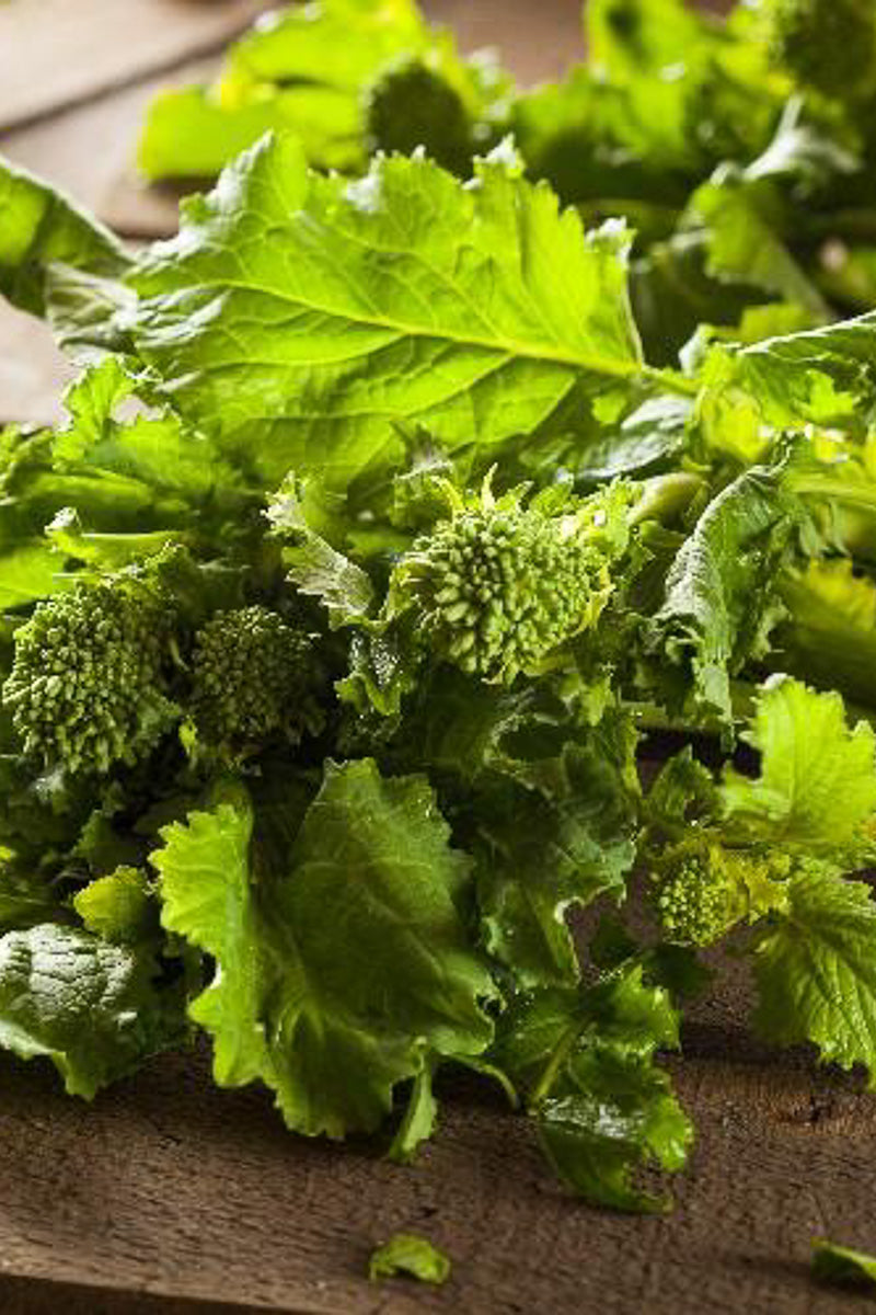 Seed Savers Spring Rapini Organic Broccoli Raab