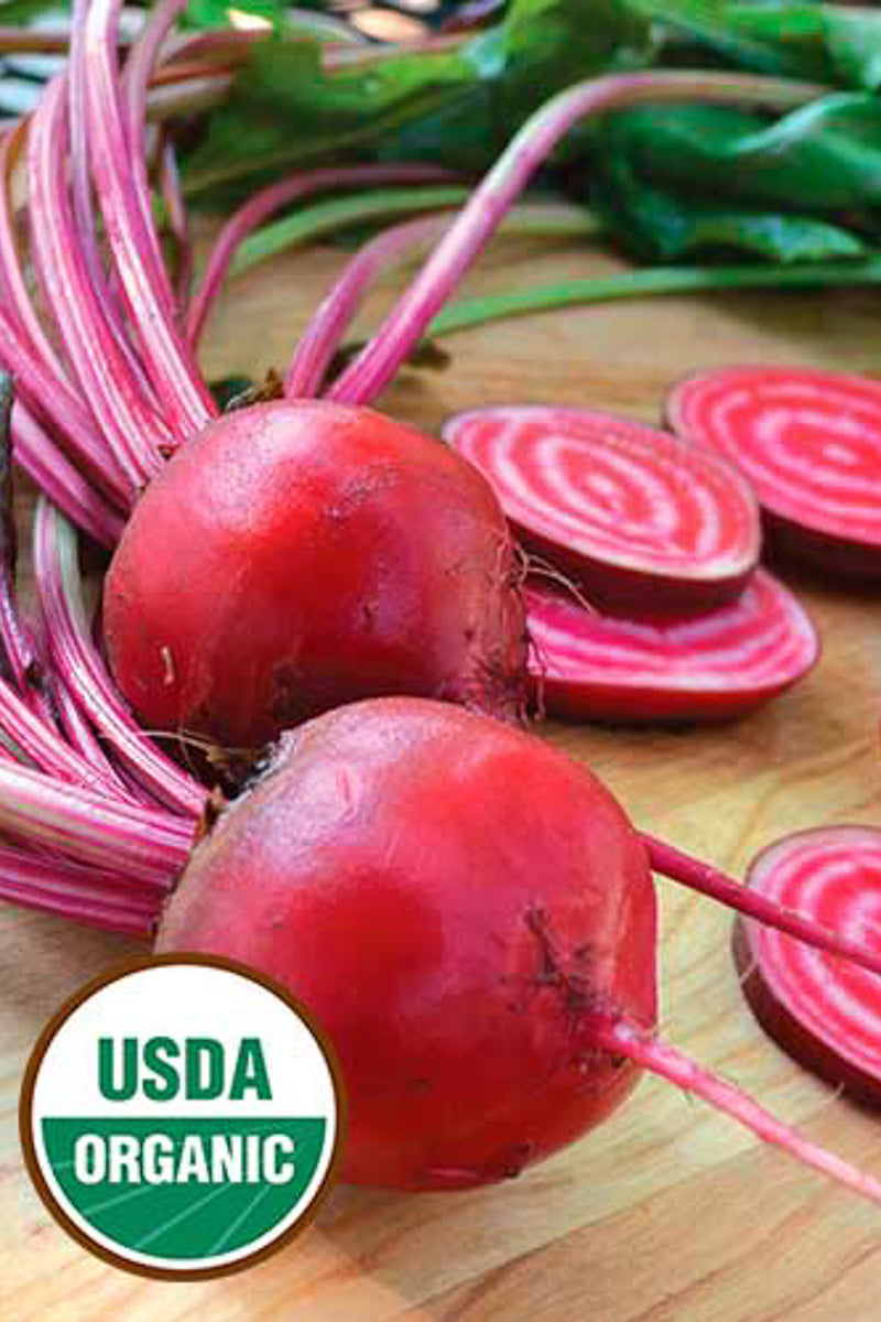 Seed Savers Chioggia Organic Beet