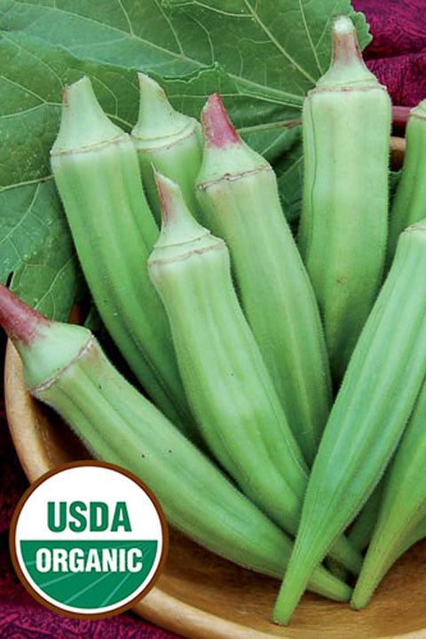 Seed Savers Clemson Spineless Okra