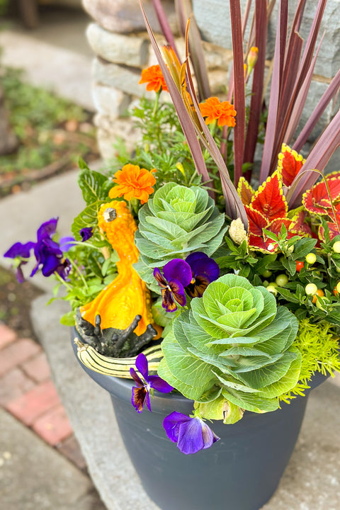 Chalet Signature Spikey Fall Planter with gourds Emma 14"