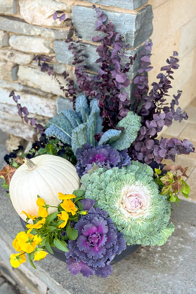 Chalet Signature Fall Pansy Pumpkin Bowl 14"