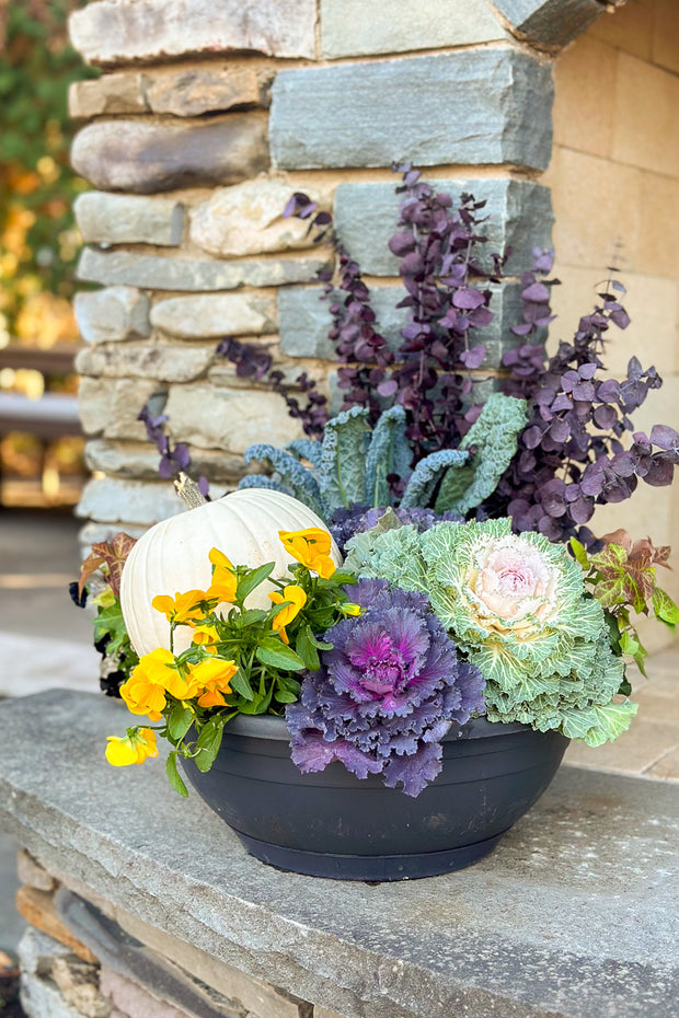 Chalet Signature Fall Pansy Pumpkin Bowl 14"