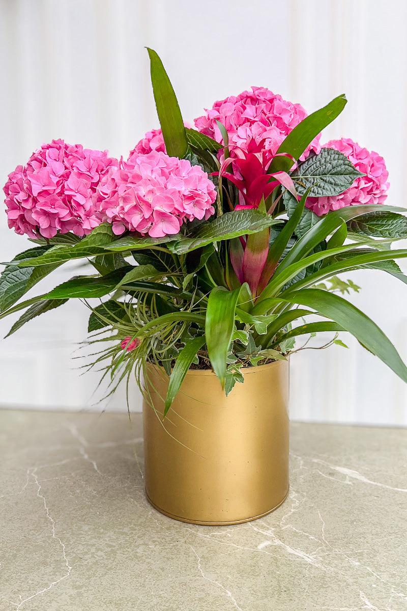 Chalet Signature Pink Hydrangeas