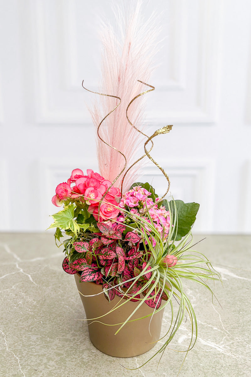 Chalet Signature Blush Blooms