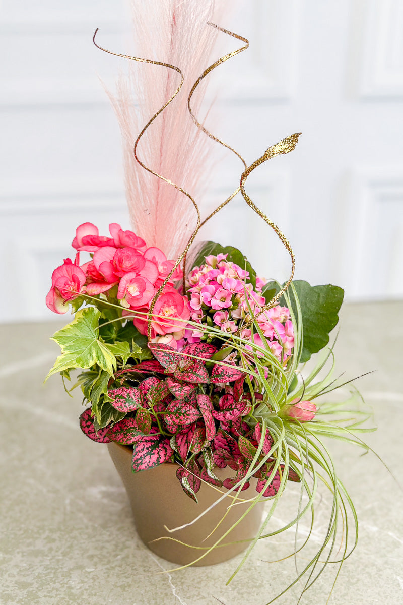 Chalet Signature Blush Blooms