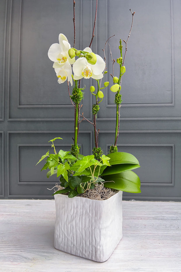 Chalet Signature White Orchid Linen
