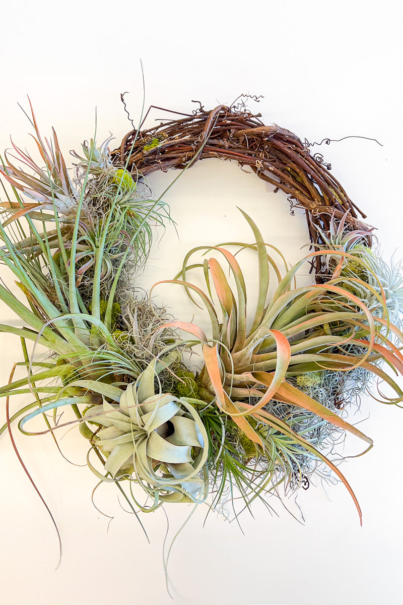 Chalet Signature Airplant Wreath 18"