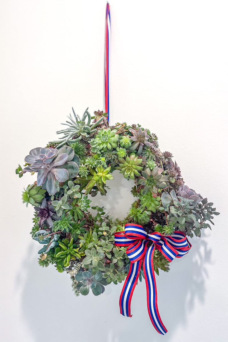 Chalet Signature Classic Succulent Wreath 14"