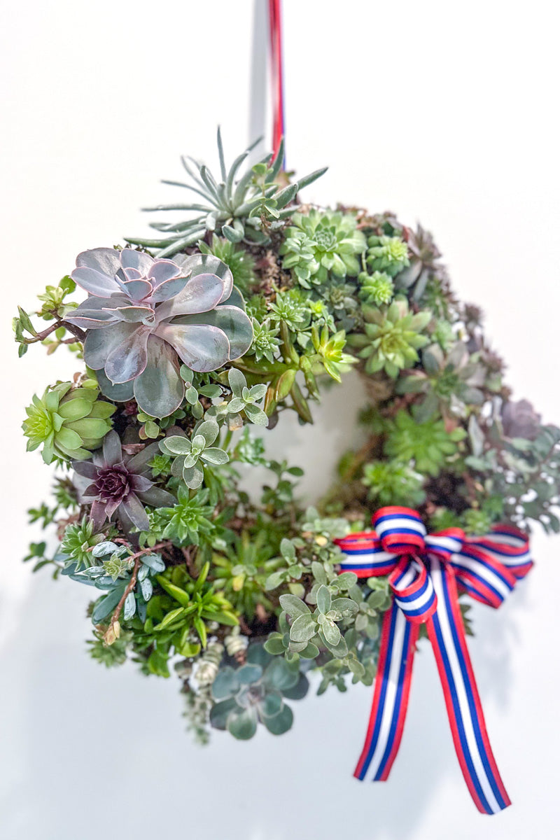 Chalet Signature Classic Succulent Wreath 14"