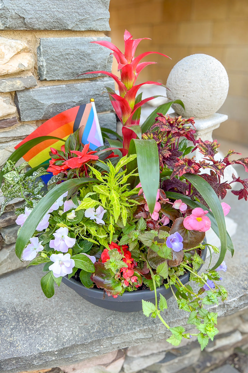 Chalet Signature Bromeliad Blast Shade Emma Bowl 14"