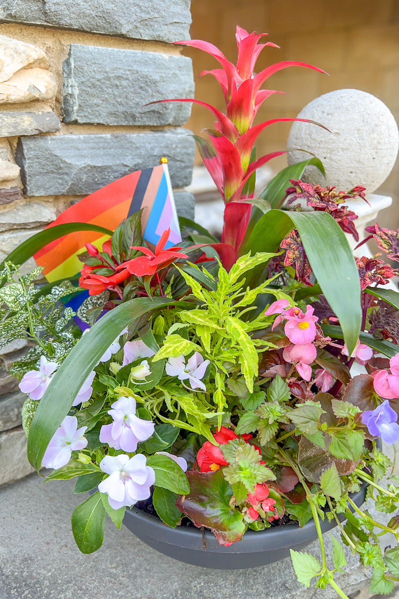 Chalet Signature Bromeliad Blast Shade Emma Bowl 14"