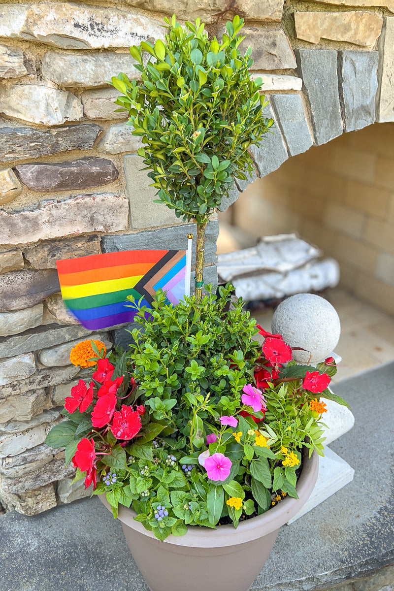 Chalet Signature Topiary Pride 16"